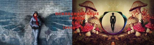 гашиш Арсеньев